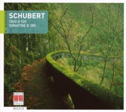 F. Schubert: Trio for Piano Violin & Cello - COMPACT DISCS