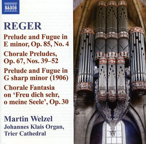 Martin Welzel: Reger 10: Organ Works - COMPACT DISCS