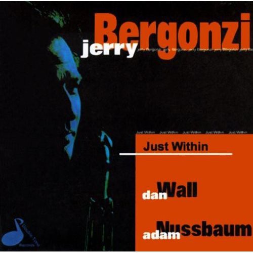 Jerry Bergonzi: Just Within - COMPACT DISCS