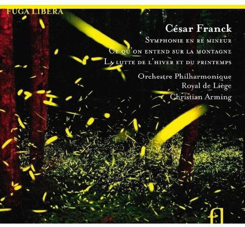 Christian Arming: Symphony in D minor - COMPACT DISCS