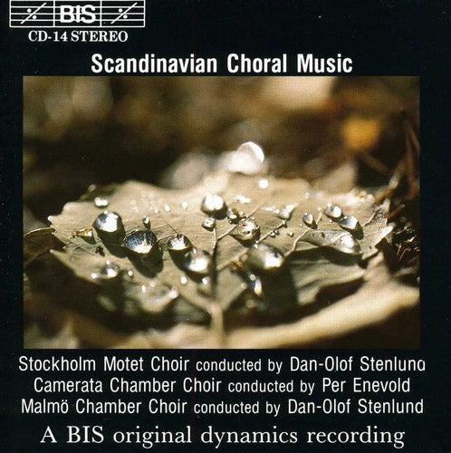 Various Artists: Scandinavian Choral Music / Various - COMPACT DISCS