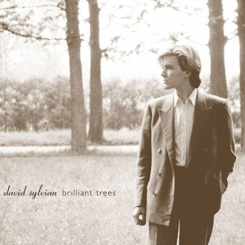 David Sylvian: Brilliant Trees - COMPACT DISCS
