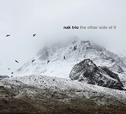 Nak Trio: The Other Side Of If - COMPACT DISCS