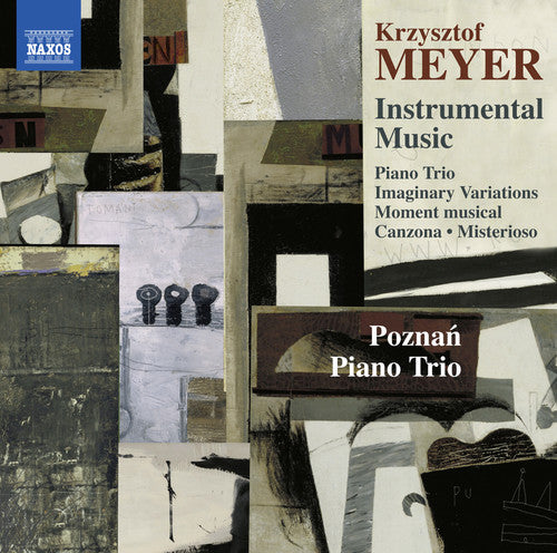 Meyer / Poznan Piano Trio: Meyer: Instrumental Music - COMPACT DISCS