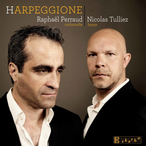 Bloch / Tulliez / Perraud: Harpeggione - COMPACT DISCS