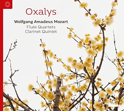 Mozart: Flute Quartets & Clarinet Quintets - COMPACT DISCS