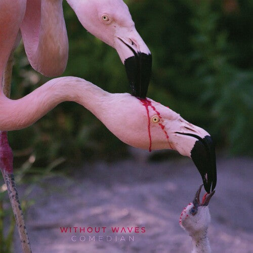 Without Waves: Comedian - COMPACT DISCS