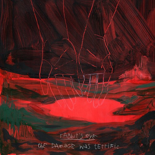 Rabbit's Eye: The Damage Was Terrific - COMPACT DISCS