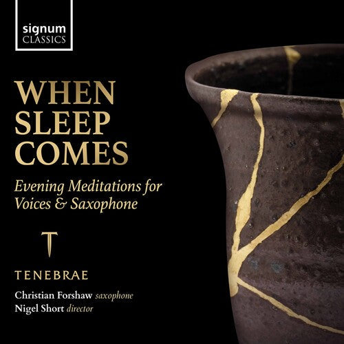 Victoria Meteyard: When Sleep Comes - COMPACT DISCS