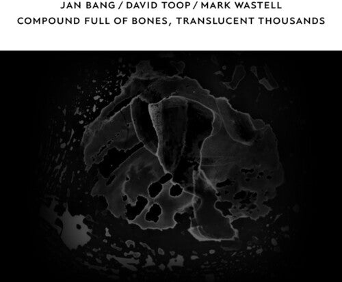 Bang, Jan / Toop, David / Wastell, Mark: Compound Full of Bones Translucent Thousands - COMPACT DISCS