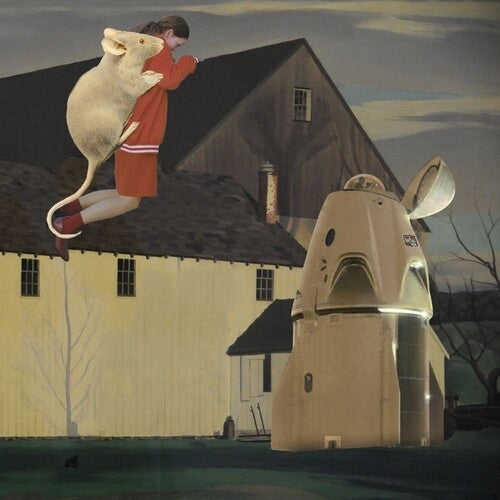 Denis Kaznacheev: Dream Farm - 12-INCH SINGLE