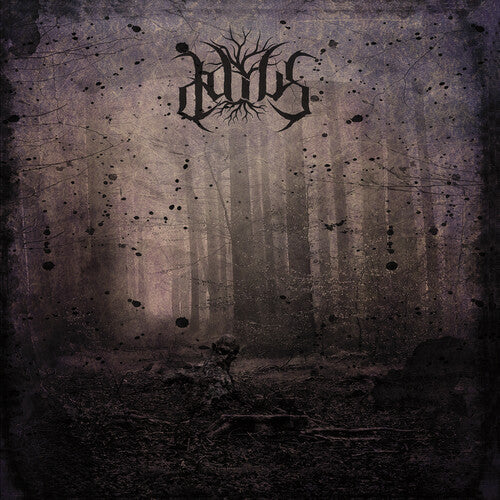 Daius: Ascuns - COMPACT DISCS