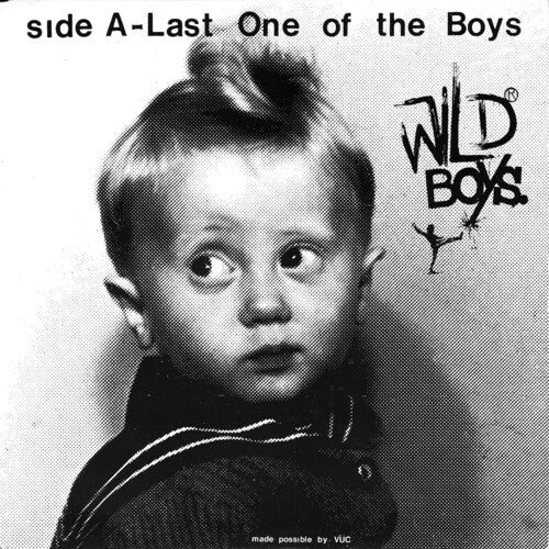 Wild Ones: Wild Boys - Last One Of The Boys / We're Only Monsters - 7-INCH SINGLE