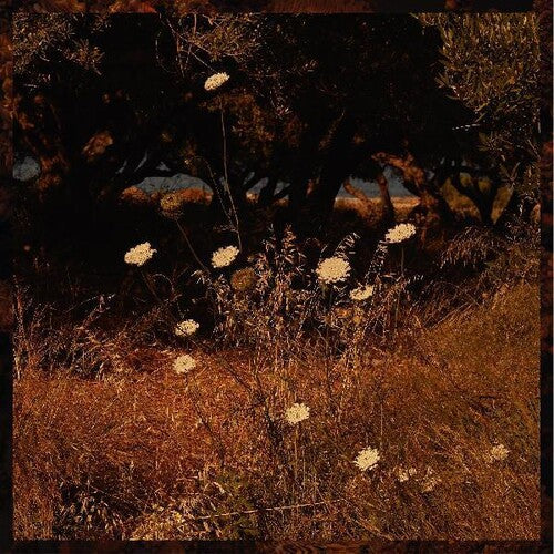 Szun Waves: Earth Patterns - COMPACT DISCS