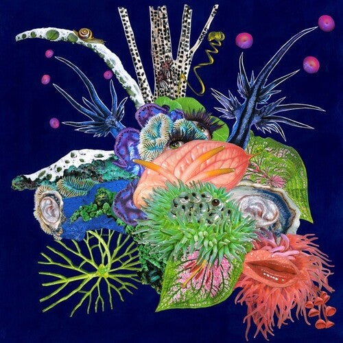 O'O: Touche - COMPACT DISCS