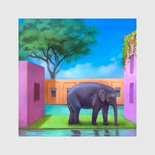 Various Artists: Elephant In The Room / Various - COMPACT DISCS