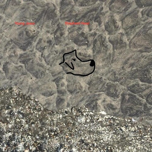 Young Jesus: Shepherd Head - CASSETTES