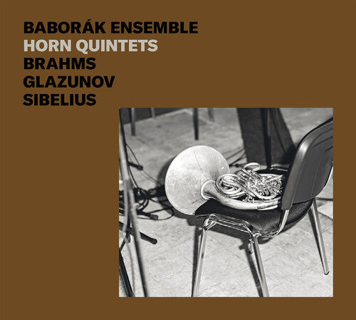 Radek Baborak: Horn Quintets - COMPACT DISCS