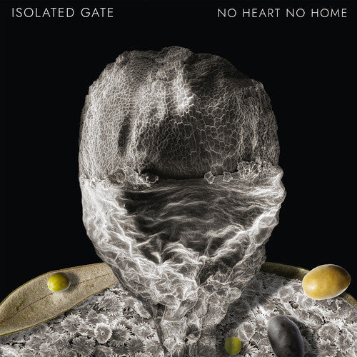 Isolated Gate: No Heart No Home - 12-INCH SINGLE