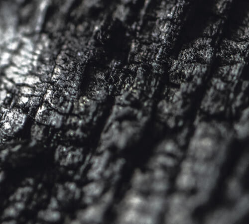 Parallel Worlds: Plector - COMPACT DISCS