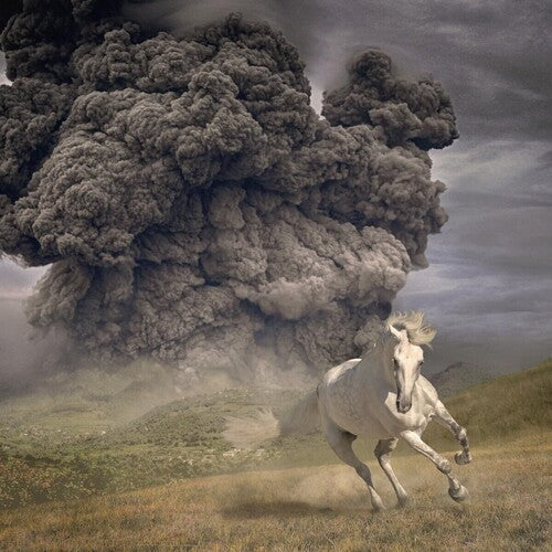 The White Buffalo: Year Of The Dark Horse - COMPACT DISCS