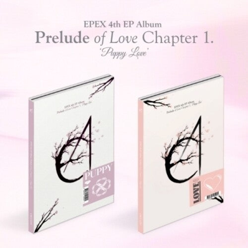 Epex: Prelude Of Love Chapter 1. Puppy Love - Random Cover - incl. Photo Book, Lyric Poster, 16 Photo Card Set, 8 Tin Soldier Card Set + Sticker - COMPACT DISCS