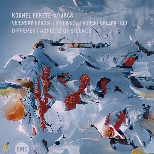 Kovacs, Kornel Fekete / Harcsa, Veronika: Different Aspects Of Silence - COMPACT DISCS