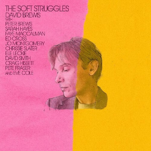 David Brewis: The Soft Struggles - COMPACT DISCS