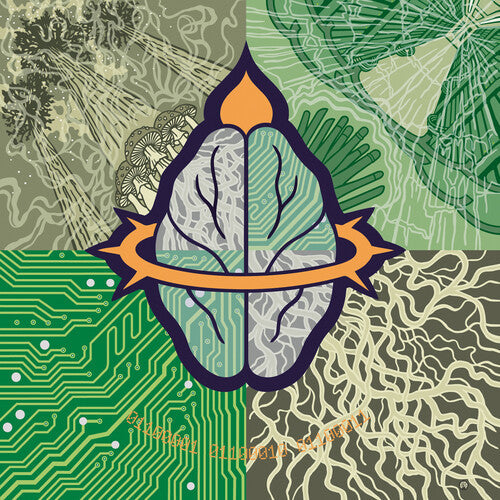 Giant Brain: Grade A Gray Day - COMPACT DISCS