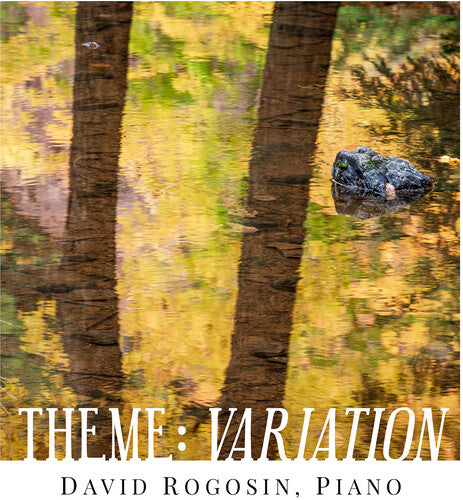 David Rogosin: Theme - Variation - COMPACT DISCS