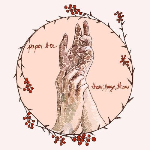 Paper Bee: Thaw Freeze Thaw - CASSETTES