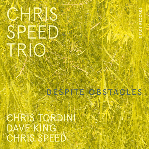 Chris Speed Trio: Despite Obstacles - COMPACT DISCS
