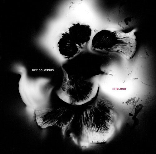 Hey Colossus: In Blood - COMPACT DISCS