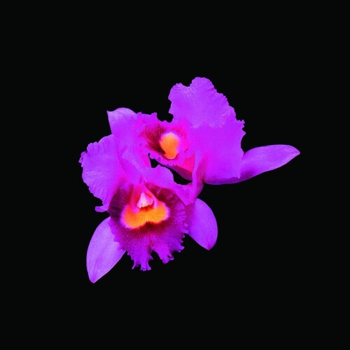 Opeth: Orchid - COMPACT DISCS