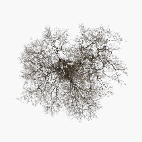 John Metcalfe: Tree - COMPACT DISCS