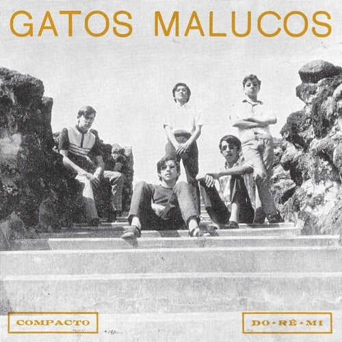 Gatos Malucos: Sem Ver O Luar - 7-INCH SINGLE