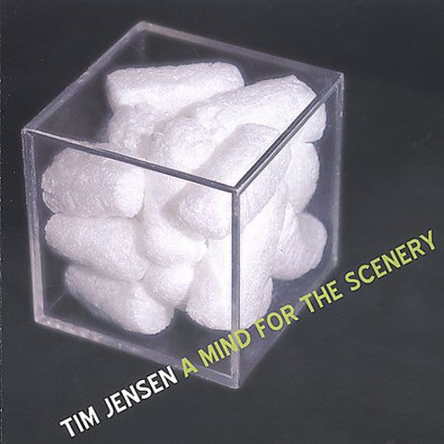 Tim Jensen: A Mind For The Scenery - COMPACT DISCS