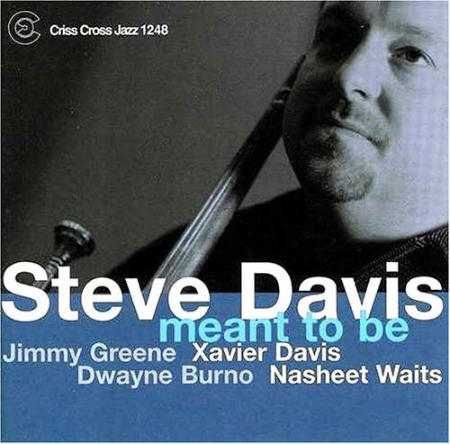 Steve Davis: Meant to Be - COMPACT DISCS