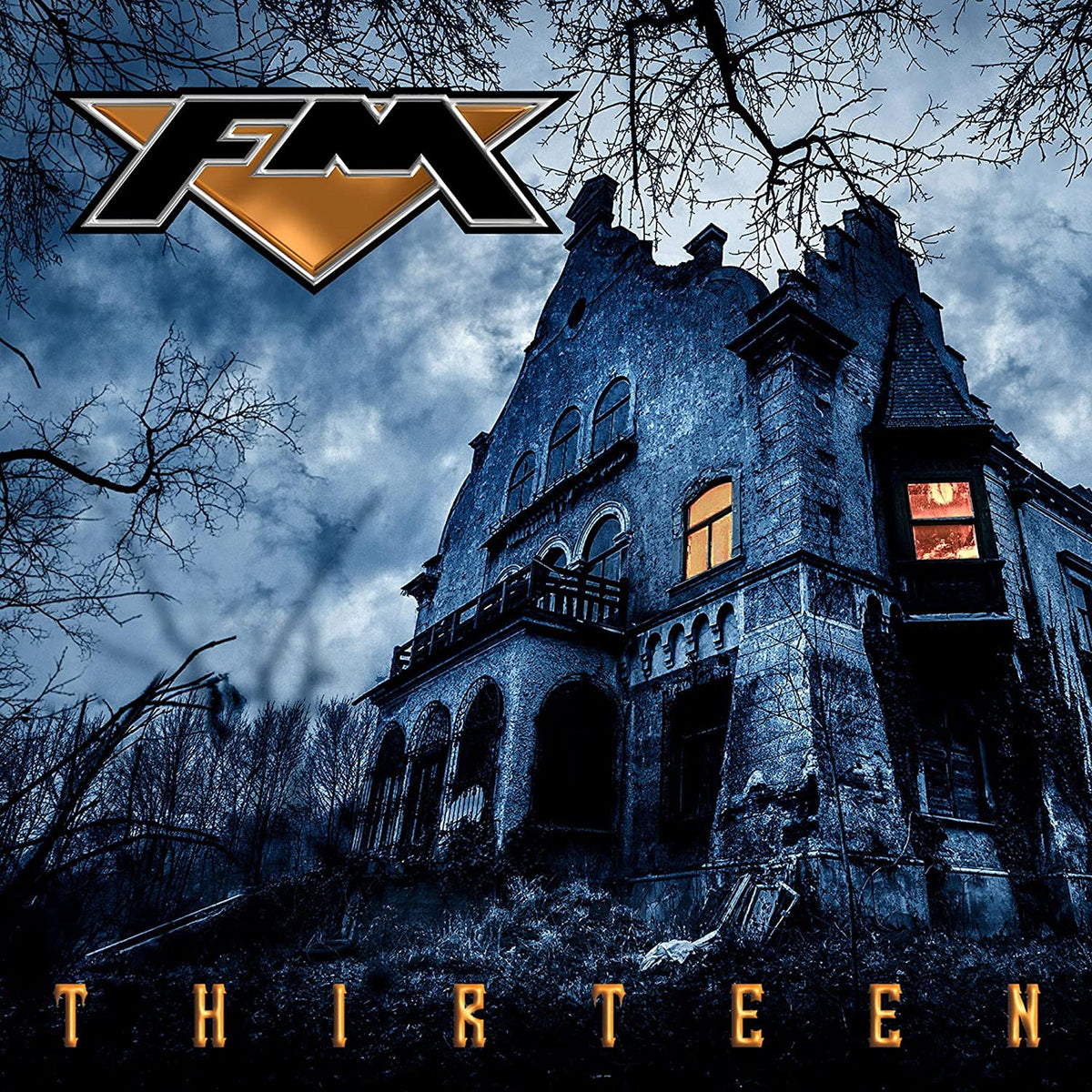 FM: Thirteen - COMPACT DISCS