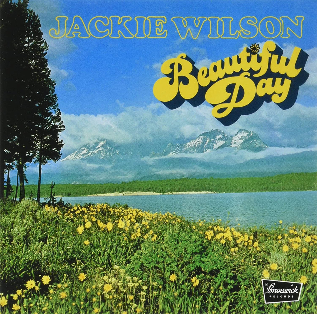 Jackie Wilson: Beautiful Day (Remastered) - COMPACT DISCS