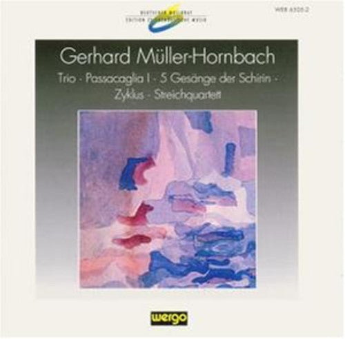 Various Artists: Muller-hornbach: Trio - Passacaglia I / Various - COMPACT DISCS