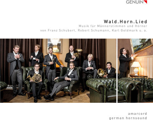 Goldmark, K. / Hornsound, German: Wald.horn.lied - COMPACT DISCS