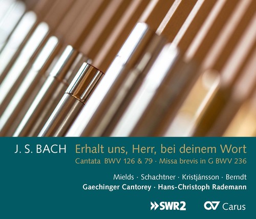 Bach, J.S. / Mields / Rademann: JS Bach: Erhalt Uns, Herr, Bei Deinem Wort - COMPACT DISCS
