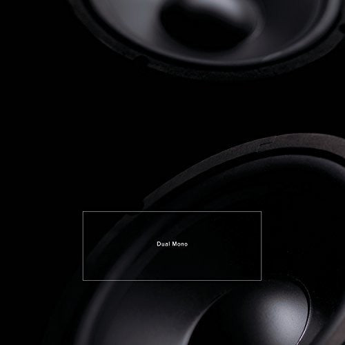 Barreca / Leimer: Dual Mono - COMPACT DISCS