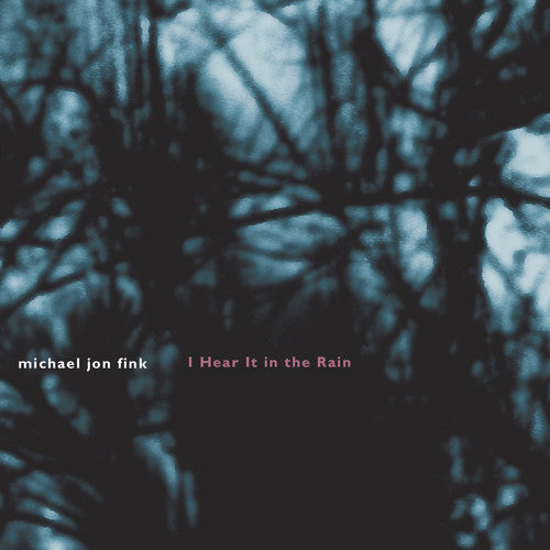 Michael Jon Fink: I Hear It in the Rain - COMPACT DISCS