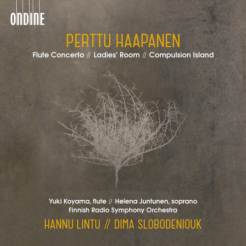 Haapanen / Koyama / Slobodeniouk: Flute Concerto - COMPACT DISCS
