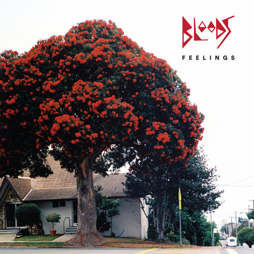 The Bloods: Feelings - COMPACT DISCS