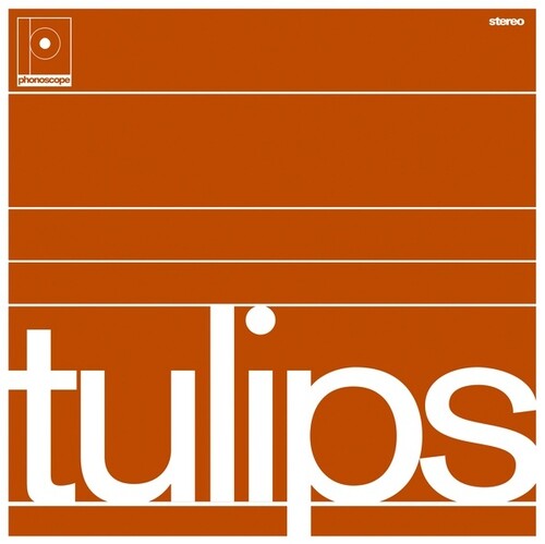 Maston: Tulips -[Vinyl LP]