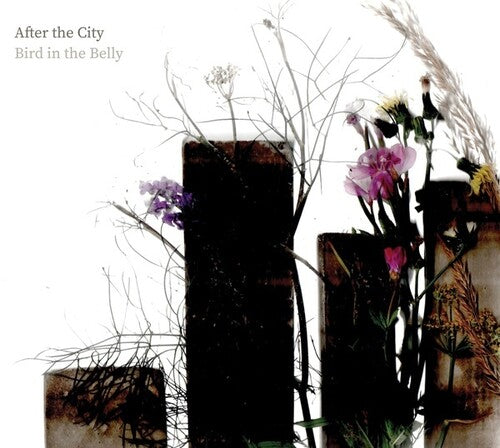 Bird in the Belly: After the City - COMPACT DISCS
