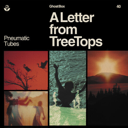 Pneumatic Tubes: Letter From Treetops -[Vinyl LP]